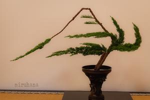 いけばな。 - MIRU'S PHOTO