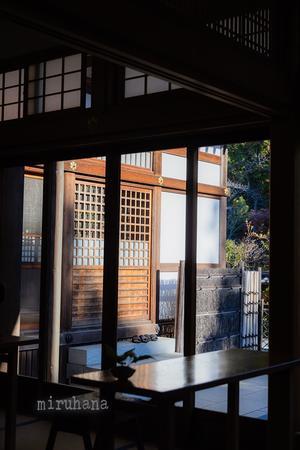 鎌倉 円覚寺塔頭＊松嶺院で一服。 - MIRU'S PHOTO