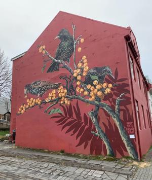 ICELANDia アイスランドブログ