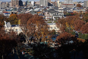 Calandagan - あの日感じた風