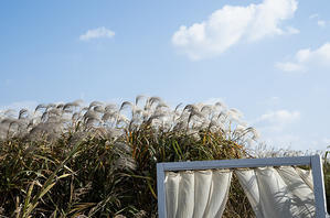 小春日和 - Wayside Photos 　☆道端ふぉと☆