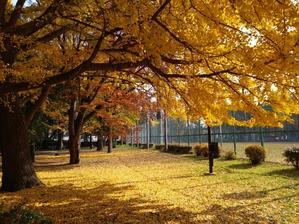 至福の時間 - 梟通信～ホンの戯言