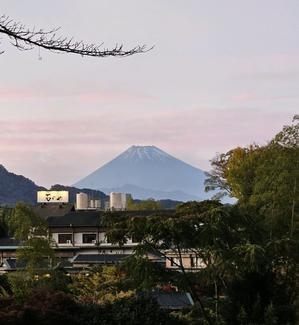 【伊豆の国市】伊豆長岡温泉 ニュー八景園（はっけいえん） - 白い羽☆彡静岡県東部情報発信・・・PiPiPi♪