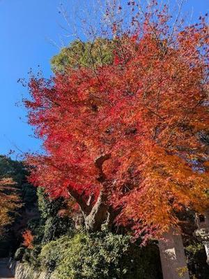 天拝山 登山 - my sweet days Ⅱ