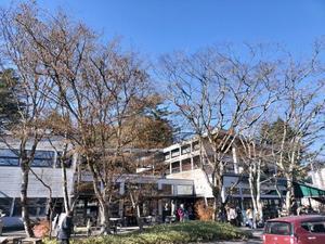 ふたり旅・長野2025-11①晩秋の軽井沢 - 続・suisuiつくる