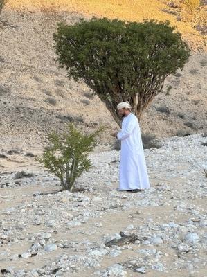 ＜１６７＞　３回目のオマーン：マスカット編 - Aromatic Column - バーグ文子のアロマティック・コラム