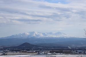 師走の突哨山ぴぴの路‼ - 突哨山(とっしょうざん)花ごよみ２　spipino2's Blog
