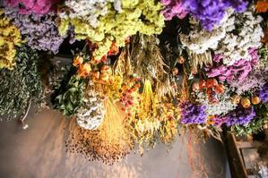 谷中「ル・コワン」で心ほどける秋のひとときを - 猫の部屋