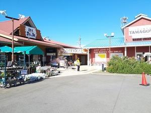 日帰りバス旅行に参加　１／４　楽しかった！ - 「美味しい！」が好き