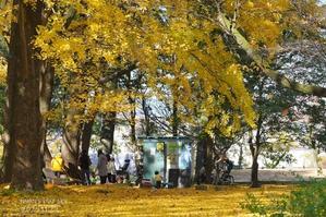 色づく街さんぽ♪ - FUNKY'S BLUE SKY