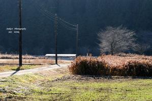 粟野ストーリー　１ - RANDOM SHOT　Ⅱ