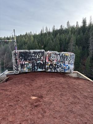 サンクスギビング旅行2025〜Mt.Shasta④〜 - Nさん一家のアメリカ日誌Ver.2