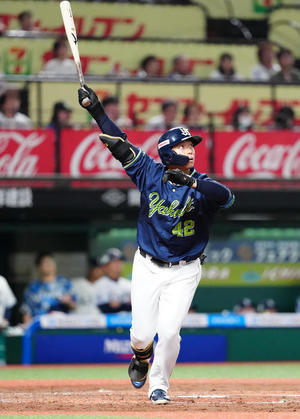 '26 期待選手【澤井簾】 - ファン歴56年 神宮の杜