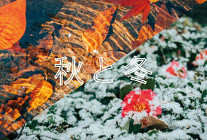 ナダール公募展「秋と冬」出展のお知らせ - 写真の記憶