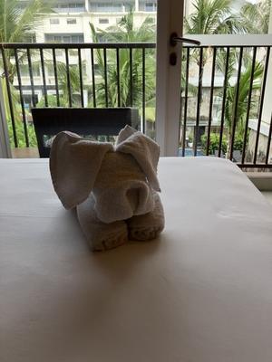 たのしくいこぉ