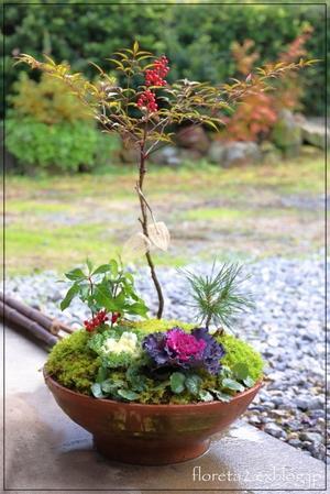 スローライフ✿季節の寄せ植え。゜ - フロリズム♪。*