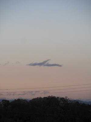 珍しい飛行機雲に遭った - 本日も晴天なり  ちょっとそこまで自転車で