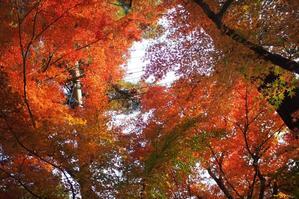 ★ やめたい - うちゅうのさいはて２nd