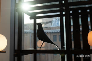 ソニーαレンズ　FE 100mm F2.8 Macro GM OSS - tats@Blog