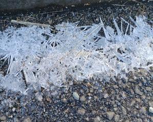 煮魚 - 北の町であれこれ暮らす