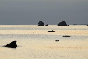 *今年初めてのダルマ朝日* - 心 色