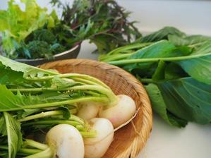 畑の野菜と窓掃除 - Quilt Mary's