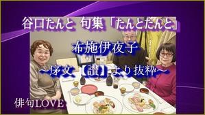 谷口たんと句集「たんとたんと」 布施伊夜子　～序文 【讃】より抜粋～ - always over the moon