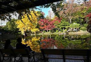 秋の風景画 〜日比谷公園〜 - 雲母（ＫＩＲＡ）の舟に乗って
