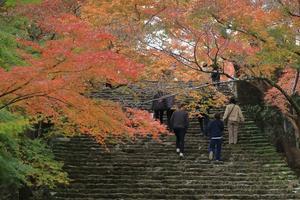 急に冬になりました　寒っ！ - ハチミツの海を渡る風の音