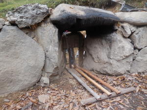 2025年12月03日（水）　臨時活動　（桜の森１２３１） - 菊炭友の会（Ⅳ）