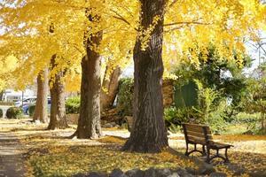 ベンチで一休み - 四季折々