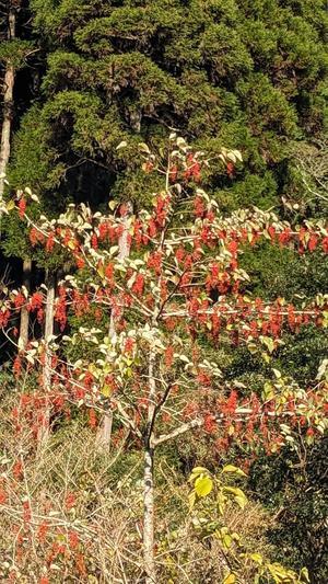 さあ　今日は何する！