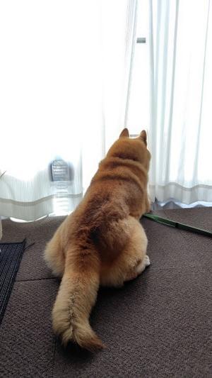 便秘解消♡ - yamatoのひとりごと