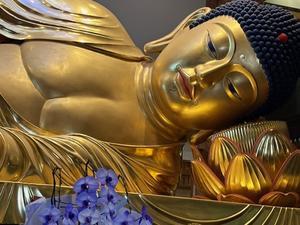 健康で輝いて楽しく４