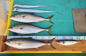 2025年12月2日の釣果です。 - 火遠理丸釣果情報