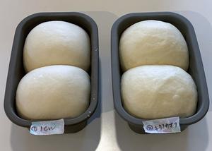 パン教室で「ふわらか」と「銀将」の比較 - Takacoco Kitchen