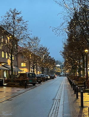 町のクリスマス照明 - 北欧万華帖