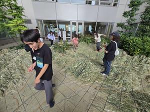 2025テレどまつり秘話 - ダンス徒然～気の向くままに～