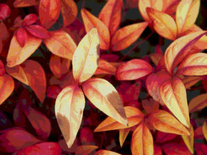 キヤノンがEOS R3 MarkIIを開発中？ - 徒然なるままに