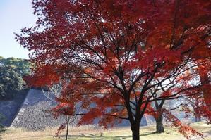 皇居乾通り　秋の一般公開 - 暮らしを紡ぐ2