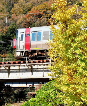 瀬野八晩秋 - 団塊鉄ちゃん気紛れ撮影記