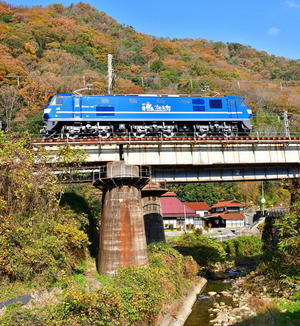 EF210-147全検出場 - 団塊鉄ちゃん気紛れ撮影記