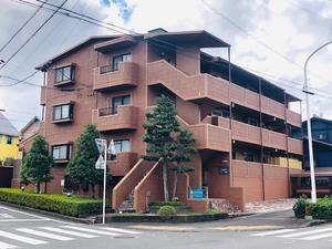 蓮華寺池公園クリスマスマーケット☆ - *アドバンハウス藤枝店ブログ*