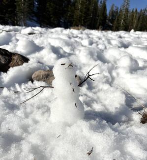 Nさん一家のアメリカ日誌Ver.2