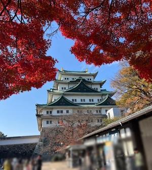 推し活同行名古屋旅行記②〜どうにか観光して自宅に辿り着くの巻〜 - 薪割りマコのバラの庭