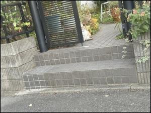 無題 - あずきのばあばの、のんびり日記