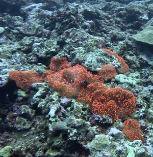 12月3日 - YDSブログ