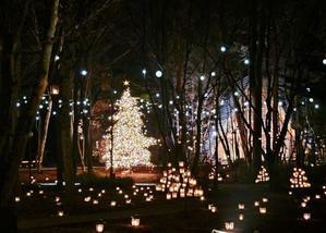 軽井沢高原教会 ＊ 星降る森のクリスマス2025☆彡 - ぴきょログ～軽井沢でぐーたら生活～