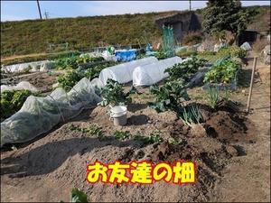 元気が一番！ - 元気ばばの青春日記　気持ちだけは２０歳　⑥