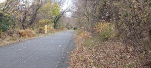 雪の季節になってきています。 - 三瓶山なんでも情報